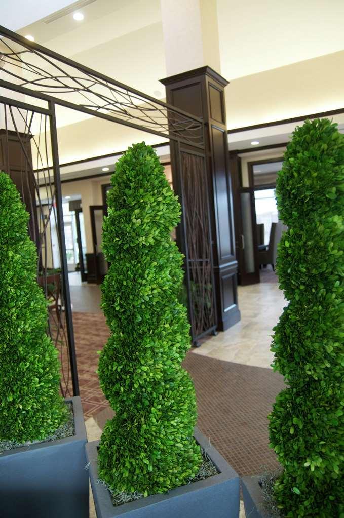 Hilton Garden Inn New Braunfels Wnętrze zdjęcie