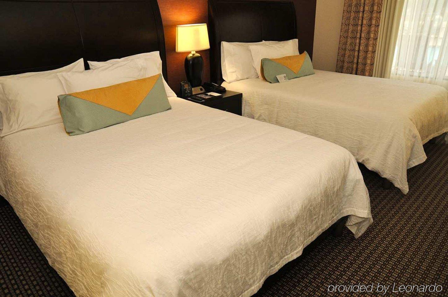 Hilton Garden Inn New Braunfels Pokój zdjęcie