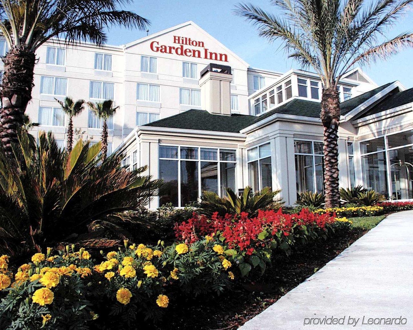 Hilton Garden Inn New Braunfels Zewnętrze zdjęcie